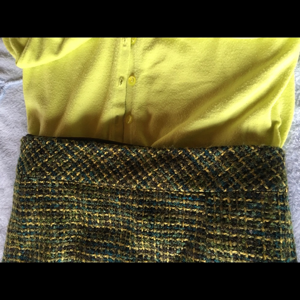Tweed Skirt